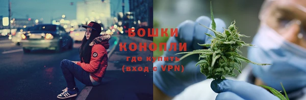 прущие грибы Баксан