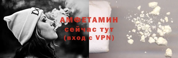 прущие грибы Баксан