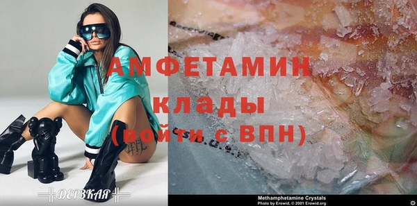 прущие грибы Баксан