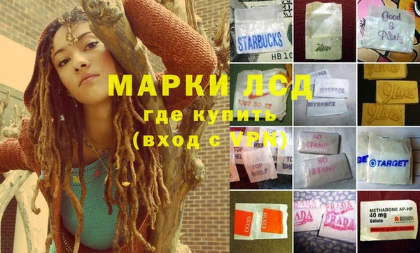 прущие грибы Баксан