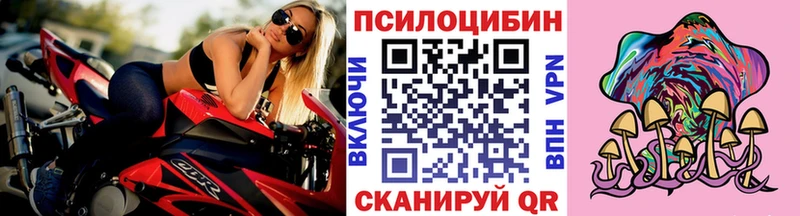 Псилоцибиновые грибы Cubensis  Кизляр 